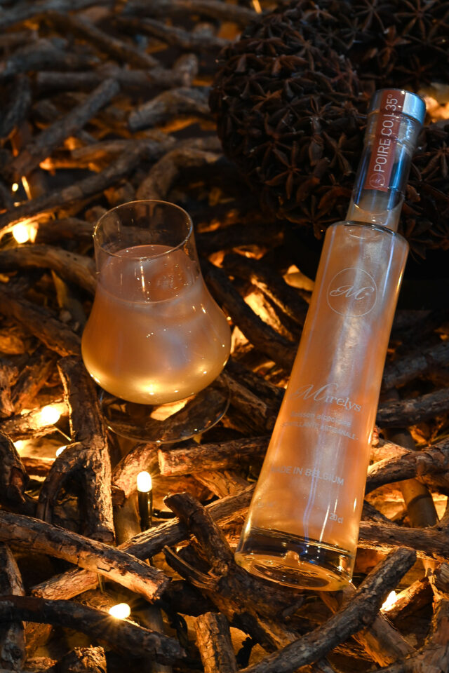 https://www.mirelys.eu/wp-content/uploads/2025/10/DSC_8009-640x960.jpg